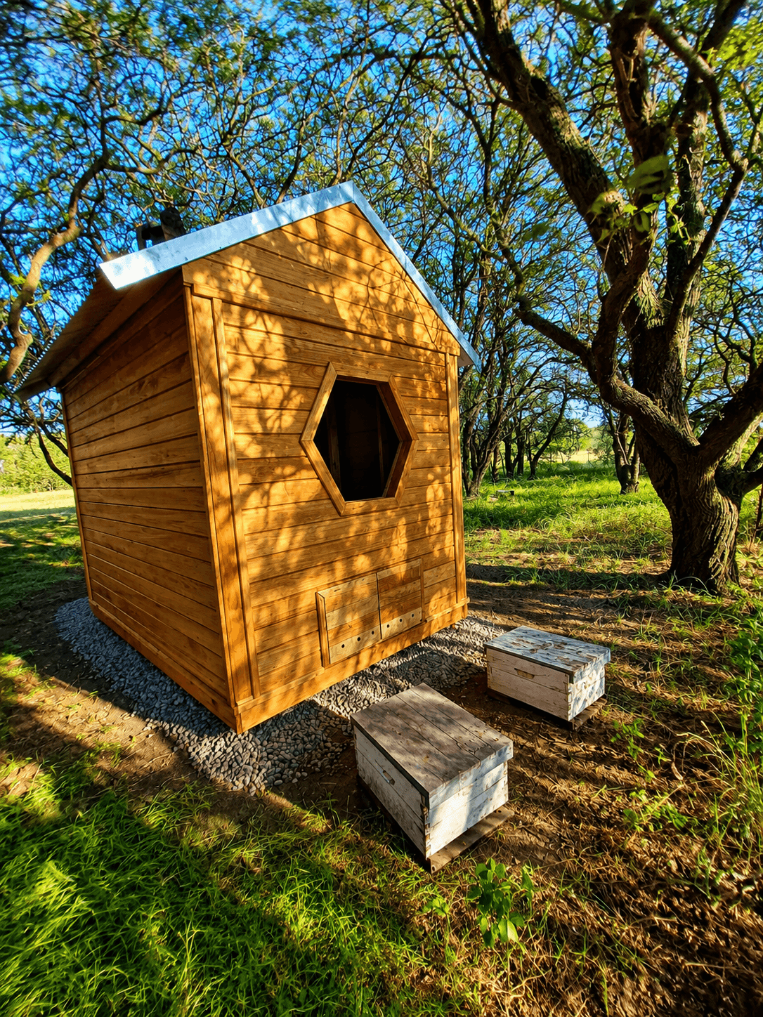 Cabina de AMIELAR entre árboles y naturaleza
